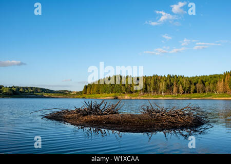 Talsperre Mandelholz bei Elend im Harz Foto Stock