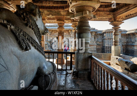 Halebid Hoysaleswara tempio Jain, Dwarasamudra (gateway per i mari), Halebidu, Hassan, Karnataka, India Foto Stock