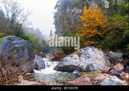 Emerald Valley vicino a gialle di montagna in Huangshan Anhui, Cina. A volte indicato come "Piccolo Jiuzhaigou". Foto Stock
