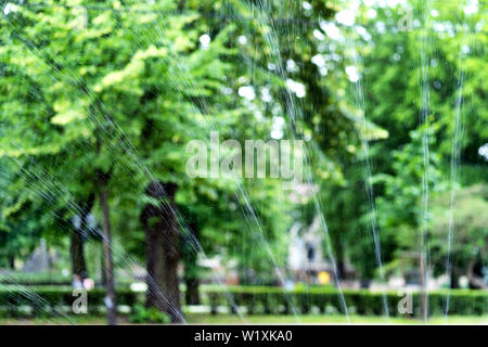 Alberi verdi e l'erba dei prati nel parco della città in estate cosparso con spruzzi di acqua Foto Stock