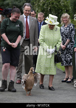 La regina Elisabetta II con il detentore Maia Gordon come Olive l anatra cammina accanto a loro durante una visita alla città di Gorgie agriturismo a Edimburgo. Foto Stock