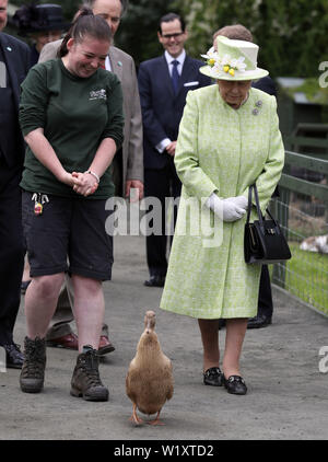 La regina Elisabetta II con il detentore Maia Gordon come Olive l anatra cammina accanto a loro durante una visita alla città di Gorgie agriturismo a Edimburgo. Foto Stock