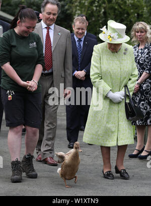 La regina Elisabetta II con il detentore Maia Gordon come Olive l anatra cammina accanto a loro durante una visita alla città di Gorgie agriturismo a Edimburgo. Foto Stock