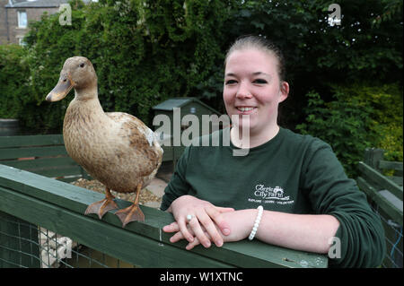 Il detentore Maia Gordon con l olivo l anatra dopo la Regina Elisabetta II ha visitato Gorgie fattoria della città di Edimburgo. Foto Stock