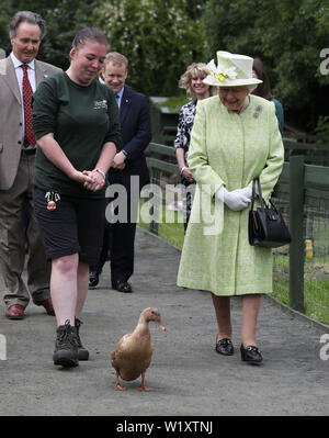 La regina Elisabetta II con il detentore Maia Gordon come Olive l anatra cammina accanto a loro durante una visita alla città di Gorgie agriturismo a Edimburgo. Foto Stock