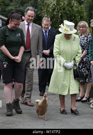 La regina Elisabetta II con il detentore Maia Gordon come Olive l anatra cammina accanto a loro durante una visita alla città di Gorgie agriturismo a Edimburgo. Foto Stock