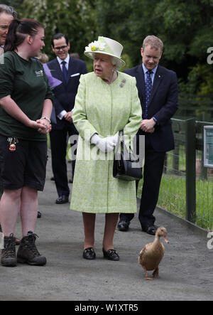 La regina Elisabetta II con il detentore Maia Gordon come Olive l anatra cammina accanto a loro durante una visita alla città di Gorgie agriturismo a Edimburgo. Foto Stock