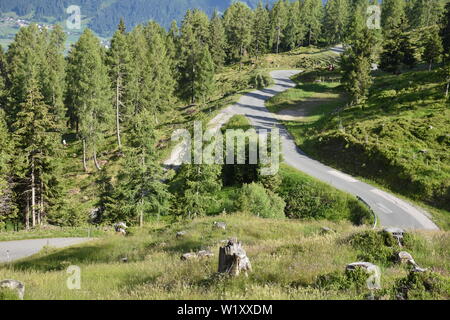 Emberger Alm, Alm, Kärnten, Greifenburg, Spittal, Drau, Spittal an der Drau, Oberkärnten, Baumgrenze, Weißensee, Bergstraße, Kurve, Kehre, Wald, Bergw Foto Stock