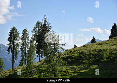 Emberger Alm, Alm, Kärnten, Greifenburg, Spittal, Drau, Spittal an der Drau, Oberkärnten, Baumgrenze, Weißensee, Bergstraße, Kurve, Kehre, Wald, Bergw Foto Stock