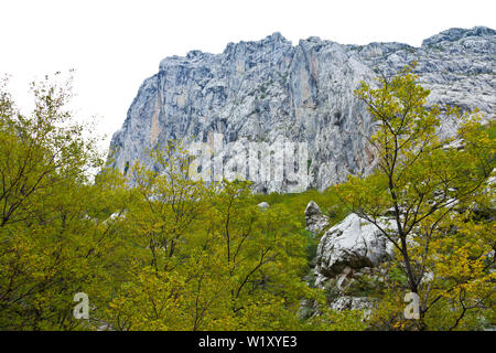 Anica kuk picco, il Parco Nazionale di Paklenica, Velebit, regione di Dalmazia, Croazia, Europa Foto Stock