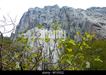 Anica kuk picco, il Parco Nazionale di Paklenica, Velebit, regione di Dalmazia, Croazia, Europa Foto Stock