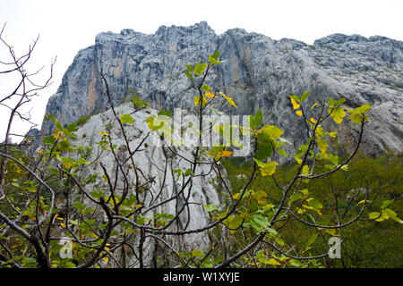 Anica kuk picco, il Parco Nazionale di Paklenica, Velebit, regione di Dalmazia, Croazia, Europa Foto Stock