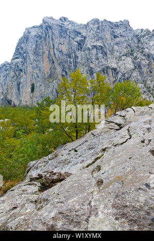 Anica kuk picco, il Parco Nazionale di Paklenica, Velebit, regione di Dalmazia, Croazia, Europa Foto Stock