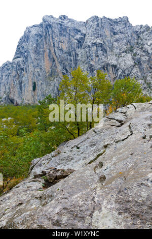 Anica kuk picco, il Parco Nazionale di Paklenica, Velebit, regione di Dalmazia, Croazia, Europa Foto Stock