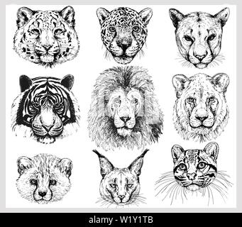 Set di mano bozzetto ritratti di animali isolati su sfondo bianco. Illustrazione Vettoriale. Illustrazione Vettoriale