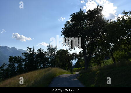 Emberger Alm, Alm, Kärnten, Greifenburg, Spittal, Drau, Spittal an der Drau, Oberkärnten, Baumgrenze, Weißensee, Bergstraße, Kurve, Kehre, Wald, Bergw Foto Stock