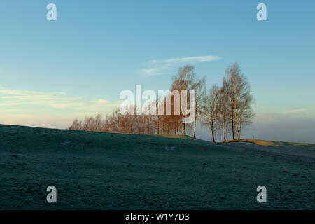 Paese strada conduce attraverso un vicolo di betulle con un gelido campo in primo piano Foto Stock