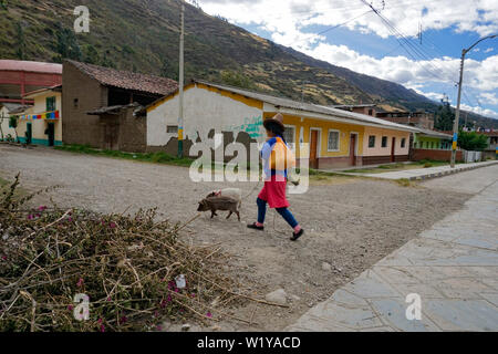 Chavín de Huantar, Ancash / Perù - 11. Giugno, 2016: un locale e tradizionale Indio agricoltore donna nel telecomando backcountry del Perù conduce il suo pig torna alla Foto Stock