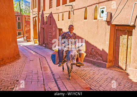 ABYANEH, IRAN - 23 ottobre 2017: l'agricoltore senior corse l'asino lungo la strada stretta con argilla rossa case del tradizionale villaggio di montagna, su Foto Stock