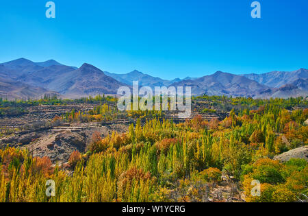 I verdi alberi sul suolo roccioso della valle in Karkas montagne accanto a Abyaneh, Iran. Foto Stock