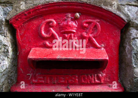 Una lumaca strisciando attraverso una vecchia Royal Mail postbox, insieme a una parete Foto Stock