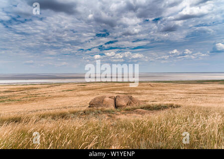 Vista delle bizzarre formazioni di arenaria che assomiglia natiche umana. Fenomeni naturali unici in prossimità del lago salato Baskunchak e m Foto Stock