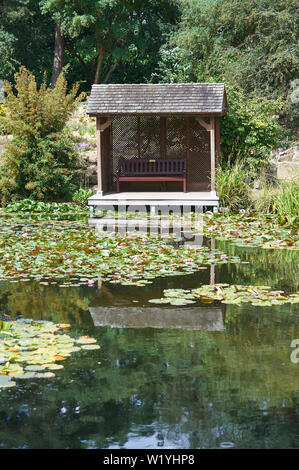Sede del giardino di una casa estiva che si affaccia su uno stagno pieno di ninfee nel sole splendente, England, Regno Unito, GB. Foto Stock