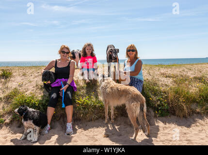 Claycastle, Youghal, Cork, Irlanda. 04 Luglio, 2019. Marion Doyle, Autunno Murrih e Avril Kelly a spasso i loro cani sul seafron a Claycastle, Co. Cork, Irlanda Credito: David Creedon/Alamy Live News Foto Stock