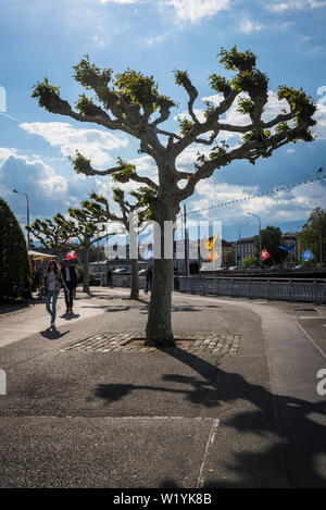 Quay Gustave-Ador lungo il lago di Ginevra nel centro della città di Ginevra, Svizzera Foto Stock