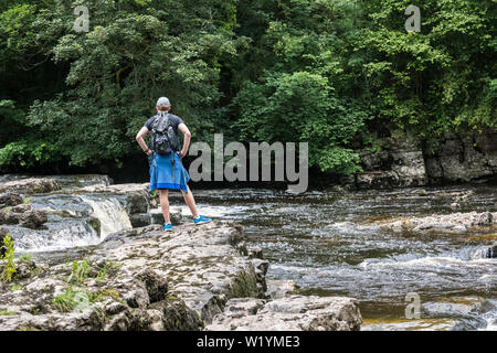 Visitatore maschio a Redmire forza sul Fiume Ure, Yorkshire Dales, nello Yorkshire, Inghilterra, Regno Unito Foto Stock