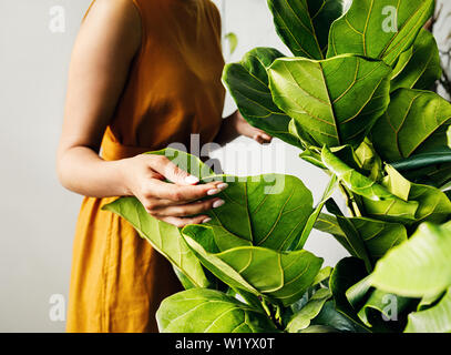 Canto di un giovane botanico tenendo una foglia. Donna fioraio a lavorare nel negozio di vegetali. Foto Stock