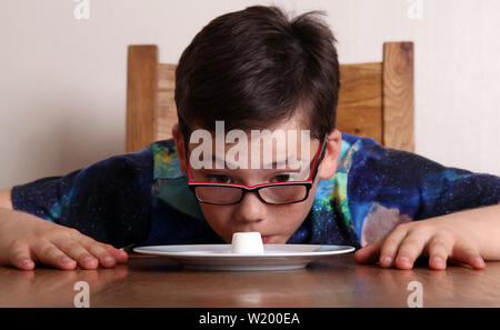 L'esperimento Marshmallow - Bambino seduti ad un tavolo, pazientemente guardando un singolo marshmallow che è posto a stretto contatto nella parte anteriore del bambino la faccia Foto Stock