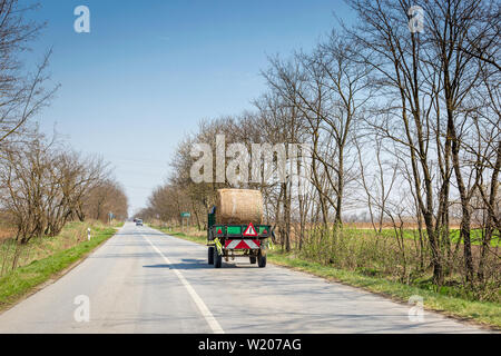 Piccolo carrello porta un rotolo di fieno lungo la strada asfaltata Foto Stock