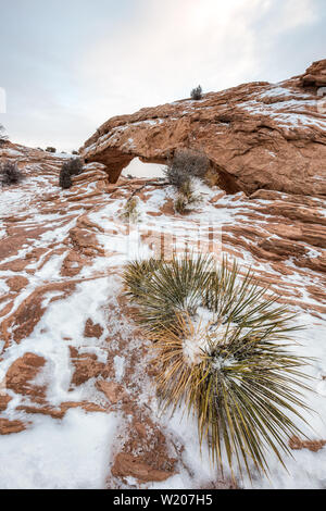 Visualizzazione classica del famoso Mesa Arch, simbolo del sud-ovest americano, illuminata a scenic golden. La luce del mattino al sorgere del sole su una bella giornata invernale in Foto Stock