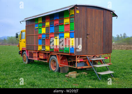 Alveari mobile su un carrello, stazionati nel campo. La Slovenia rurale, Foto Stock