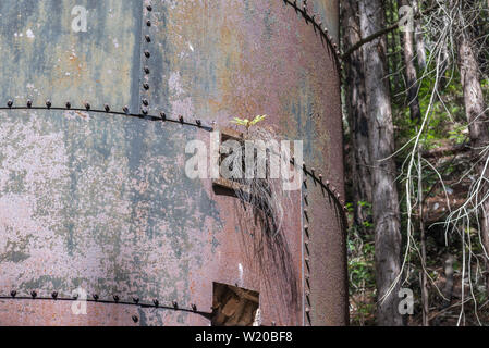 Abbandonato limekilns. Stato Limekiln Park, Big Sur, California, Stati Uniti d'America. Foto Stock