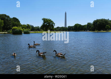 Il Monumento di Washington è visto dalla costituzione di giardini in Washington, D.C. Foto Stock