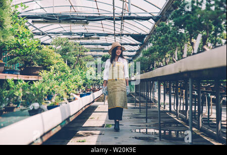 Bonsai centro serra. righe con piccoli alberi, donna che lavorano e per la cura delle piante Foto Stock