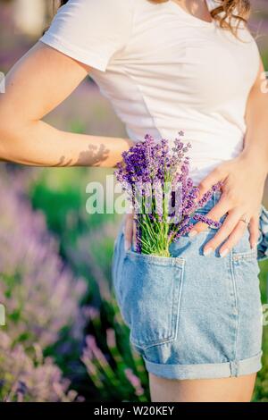 Bouquet di porpora viola Lavanda fiori nella tasca dei jeans. Luce della Sera Foto Stock