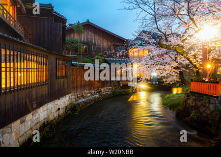 Kyoto, Giappone presso il Fiume Shirakawa nel quartiere di Gion durante la primavera. Cherry blosson stagione a Kyoto, in Giappone. Foto Stock