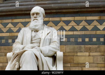 Museo di Storia Naturale, Cromwell Road, South Kensington, Royal Borough di Kensington e Chelsea - Charles Darwin statua. Foto Stock