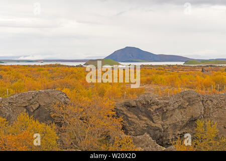 I colori dell'autunno nel nord dell'Islanda vicino al Lago Myvatn in Islanda Foto Stock