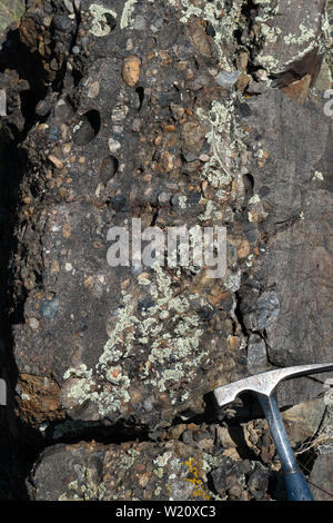 Vista ravvicinata di conglomerato e di arenaria del Cretaceo formazione Kootenai, southwestern Montana Foto Stock
