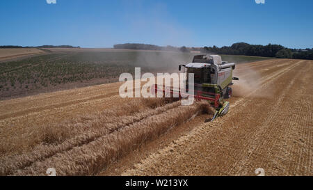 04 luglio 2019, Renania-Palatinato, Münstermaifeld: Una mietitrebbia aziona su un campo di grano (fotografia aerea con un drone). In parte senza sosta il sole ha bruciato dal cielo nel tempo passato. Persone e animali in Renania Palatinato sono anelito per l'acqua, la secchezza è evidente anche nelle aree verdi. Foto: Thomas Frey/dpa Foto Stock