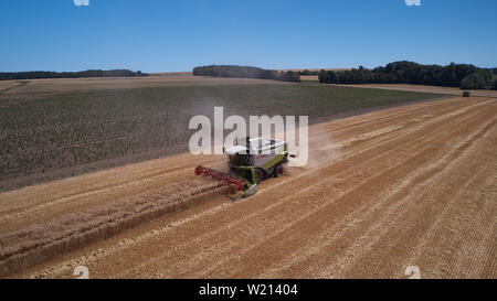 04 luglio 2019, Renania-Palatinato, Münstermaifeld: Una mietitrebbia aziona su un campo di grano (fotografia aerea con un drone). In parte senza sosta il sole ha bruciato dal cielo nel tempo passato. Persone e animali in Renania Palatinato sono anelito per l'acqua, la secchezza è evidente anche nelle aree verdi. Foto: Thomas Frey/dpa Foto Stock