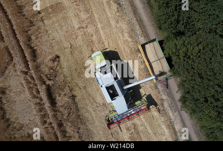 04 luglio 2019, Renania-Palatinato, Münstermaifeld: Una mietitrebbia aziona su un campo di grano (fotografia aerea con un drone). In parte senza sosta il sole ha bruciato dal cielo nel tempo passato. Persone e animali in Renania Palatinato sono anelito per l'acqua, la secchezza è evidente anche nelle aree verdi. Foto: Thomas Frey/dpa Foto Stock