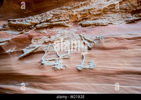 Fossili in Slot Canyon in Page Arizona Foto Stock