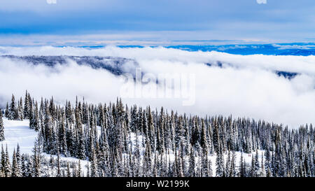 Varie viste delle numerose piste da sci presso la famosa località sciistica di Sun i picchi del Shuswap altipiani della British Columbia, Canada Foto Stock