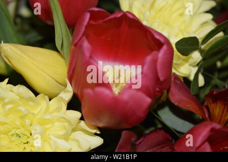 Luminoso bouquet di fiori diversi. Miscela di colori differenti di garofani artificiale, per decorazione Foto Stock