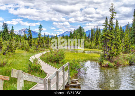 Poliziotto's Creek Boardwalk è un panoramico sentiero escursionistico nella città di Canmore, Alberta, che segue un fiume con le Montagne Rocciose Canadesi in background Foto Stock